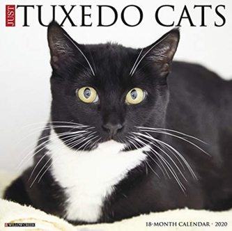 JUST TUXEDO CATS 2020 WALL CALENDAR
