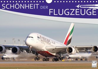 Schönheit der Flugzeuge (Wandkalender 2021 DIN A4 quer)