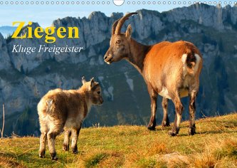 Ziegen. Kluge Freigeister (Wandkalender 2021 DIN A3 quer)