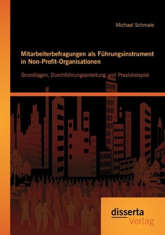 Mitarbeiterbefragungen als Führungsinstrument in Non-Profit-Organisationen: Grundlagen, Durchführungsanleitung und Praxisbeispie