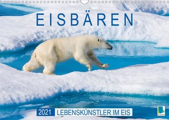 Eisbären: Lebenskünstler im Eis (Wandkalender 2021 DIN A3 quer)