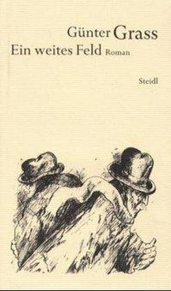 Werkausgabe 13. Ein weites Feld