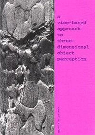 A View-Based Approach to Three-Dimensional Object Perception