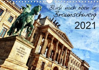 Blick nach oben in Braunschweig (Wandkalender 2021 DIN A4 quer)