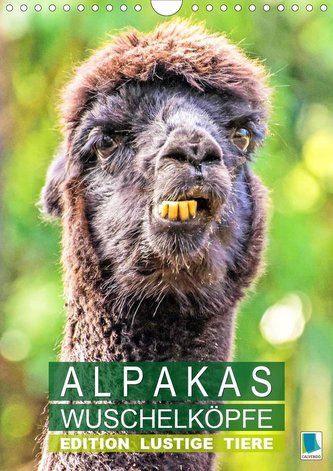 Alpakas: Wuschelköpfe - Edition lustige Tiere (Wandkalender 2021 DIN A4 hoch)