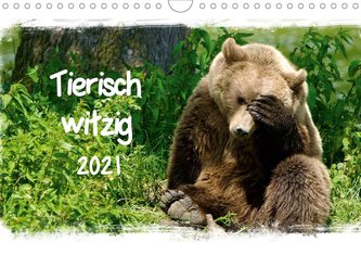 Tierisch witzig (Wandkalender 2021 DIN A4 quer)