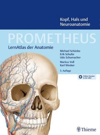 Kopf, Hals und Neuroanatomie