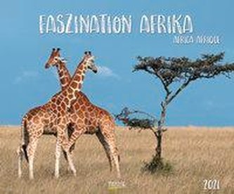 Faszination Afrika 2021
