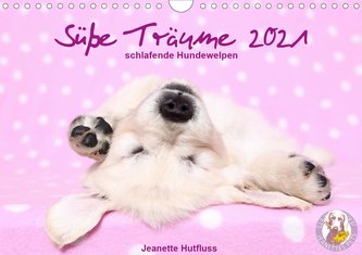 Süße Träume 2021 - schlafende Hundewelpen (Wandkalender 2021 DIN A4 quer)