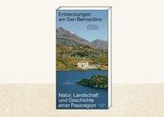 Entdeckungen am San Bernadino