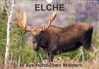 ELCHE In den nördlichen Wäldern (Wandkalender 2021 DIN A4 quer)