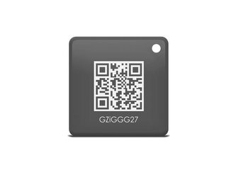 Čip RFID IGET SECURITY M3P22