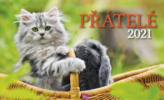 Kalendář 2021 - Přátelé, stolní