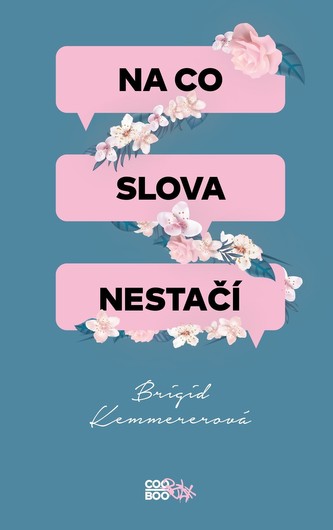 Na co slova nestačí (Brigid Kemmerer, 2020)