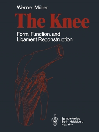 The Knee The Knee
