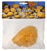 BELLINI Přírodní mořská houba – Středomořská – HONEYCOMB – SVĚTLÁ 11 - 12 cm
