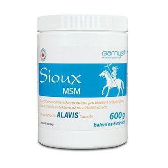 Barny´s Sioux MSM 600 g