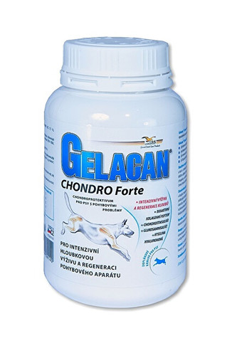 Orling Chondrocan Forte 500 g