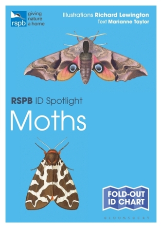 Rspb Id Spotlight - Moths