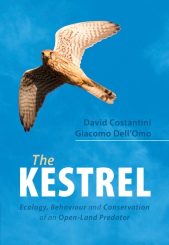 The Kestrel The Kestrel
