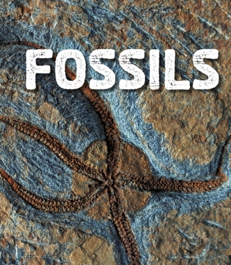 Fossils Fossils