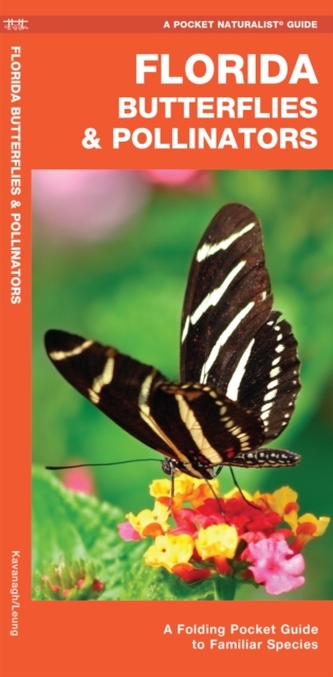 Florida Butterflies & Pollinators