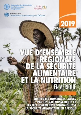 Vue d'ensemble regionale de la securite alimentaire et la nutrition en Afrique 2019