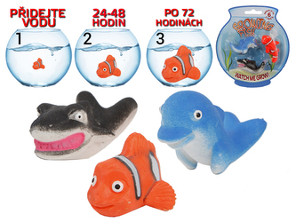 Ryba rostoucí 3ks na kartě