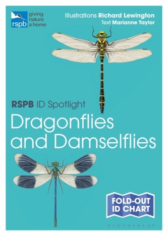 Rspb Id Spotlight - Dragonflies and Damselflies