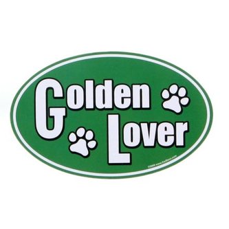 Magnet Euro Golden Lover