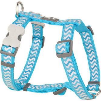 Postroj RD 15 mm x 36-54 cm - Ziggy Rfx- Tyrkysová