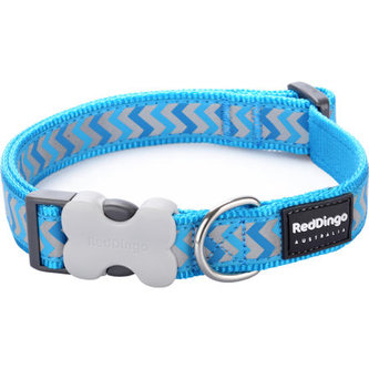 Obojek RD 25 mm x 41-63 cm - Ziggy Rfx - Tyrkysová