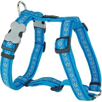 Postroj RD 25 mm x 56-80 cm- Daisy Chain Turquoise