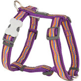 Postroj RD 25 mm x 71-113 cm - Dreamstream Purple