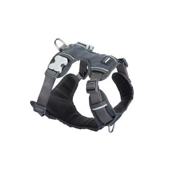 Postroj RD polstrovaný XS - 31-43 cm - Šedá