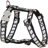 Postroj RD 25 mm x 56-80 cm - Ziggy Rfx - Černá