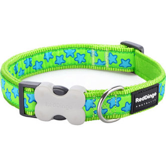 Obojek RD 25 mm x 41-63 cm - Stars Turquoise