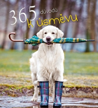 365 důvodů k úsměvu (, 2020)