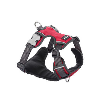 Postroj RD polstrovaný M - 46-63 cm - Červená Postroj RD polstrovaný M - 46-63 cm - Červená