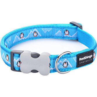 Obojek RD 12 mm x 20-32 cm - Penguin Turquoise