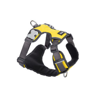 Postroj RD polstrovaný S - 37-52 cm - Žlutá Postroj RD polstrovaný S - 37-52 cm - Žlutá