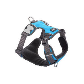 Postroj RD polstrovaný S - 37-52 cm - Tyrkysová Postroj RD polstrovaný S - 37-52 cm - Tyrkysová