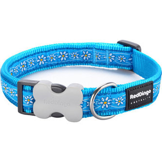 Obojek RD 20 mm x 30-47 cm - Daisy Chain Turquoise