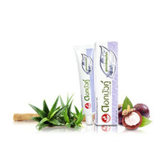 Twin Lotus Bylinná zubní pasta Salt 150 g unisex