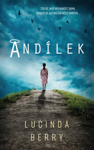 Andílek (Lucinda Berry, 2020)