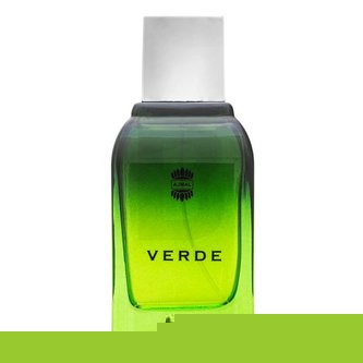 Ajmal Verde - EDP 100 ml man
