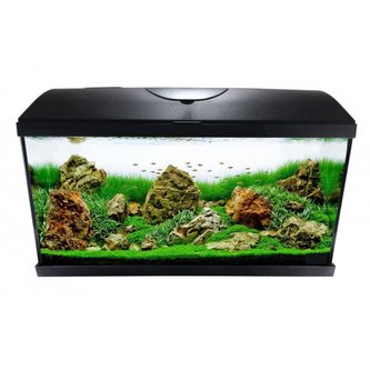 CATGATO Akvarium Pacific 50 50x25x30 37,5L