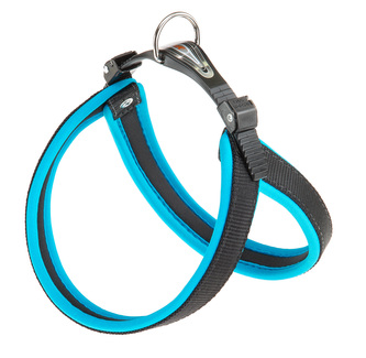 Postr.FER AGILA FLUO 4 HARNESS BLUE