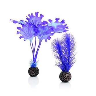 Dekor.Biorb chaluha purpur. mala