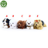 Rappa Plyšový pes ležící 17 cm ECO-FRIENDLY 1 ks - D